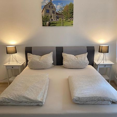 Ferienwohnung Stiegel Ingelheim am Rhein Buitenkant foto